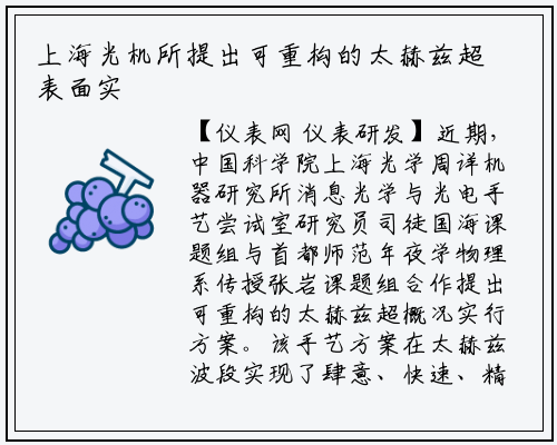 上海光机所提出可重构的太赫兹超表面实施方案_龙8头号玩家官网